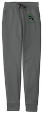 Load image into Gallery viewer, Sageview Soccer Moisture-Wicking Jogger
